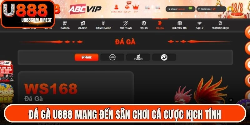 Đá gà U888 mang đến sân chơi cá cược kịch tính, minh bạch cho sư kê
