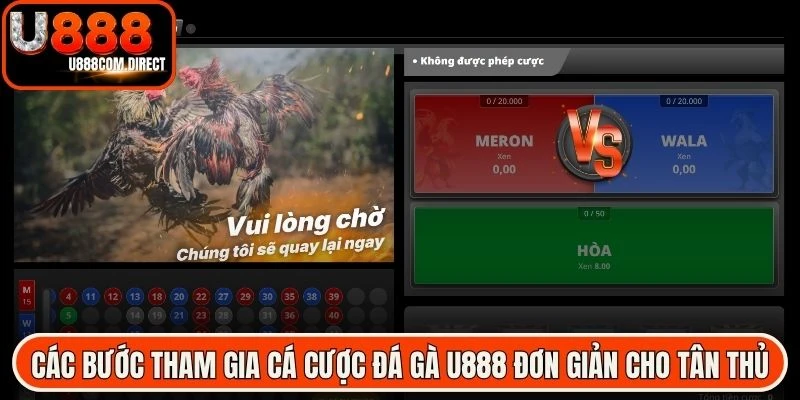 Các bước tham gia cá cược đá gà U888 đơn giản cho tân thủ